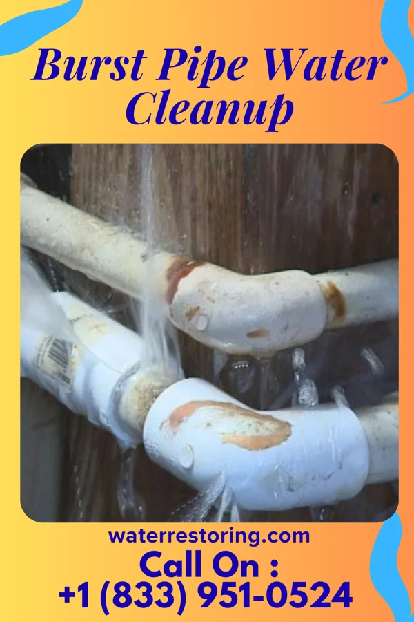 Burst Pipe Water Cleanup in Bloomfield Hills, MI