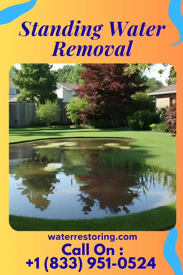 Standing Water Removal in Bloomfield Hills, MI